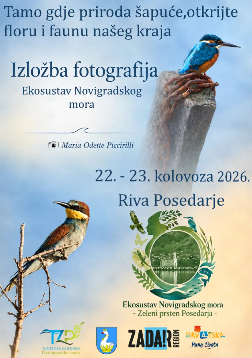 Izložba fotografija „Ekosustav Novigradskog mora“